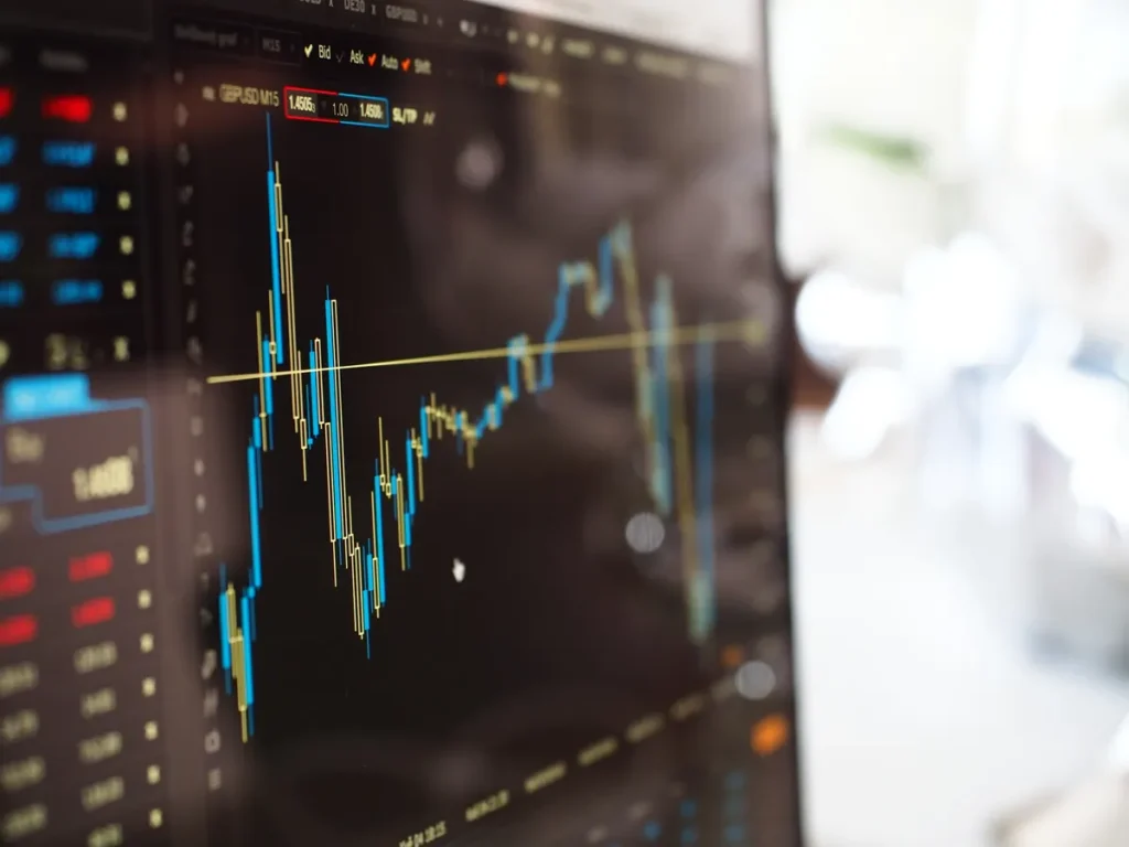Pufins borrowing risk UK