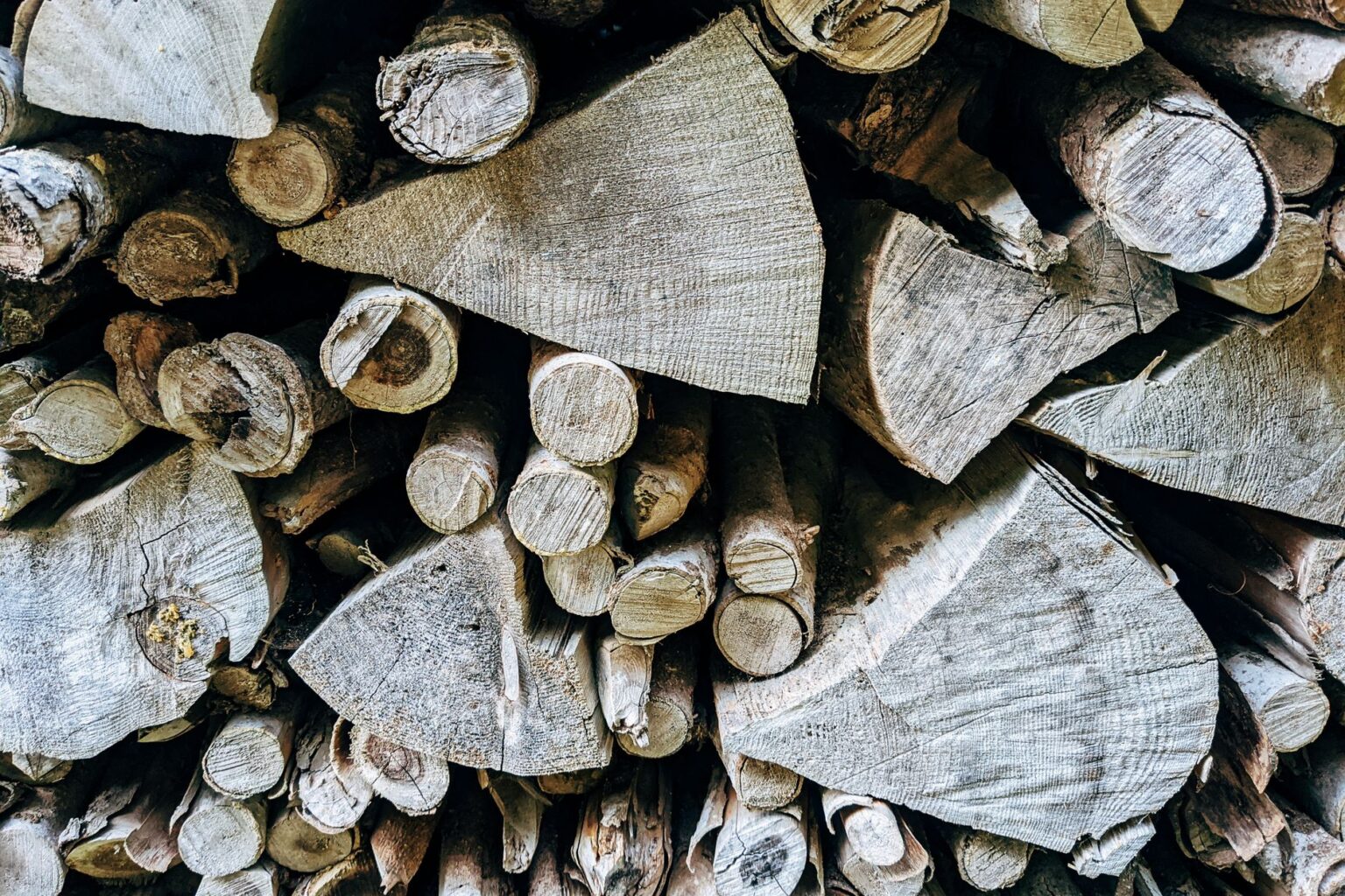 Stacked seasoned firewood logs from managed British woodland